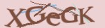 Recopiez ici le code ci-dessus (captcha code)