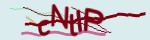 Recopiez ici le code ci-dessus (captcha code)
