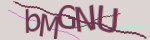 Recopiez ici le code ci-dessus (captcha code)